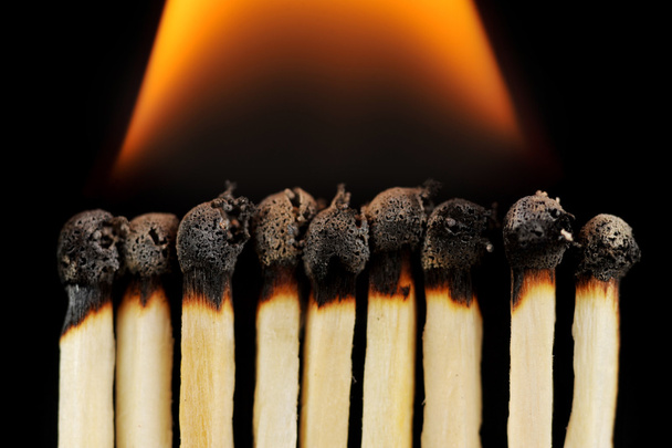 Row of matches - Photo, image