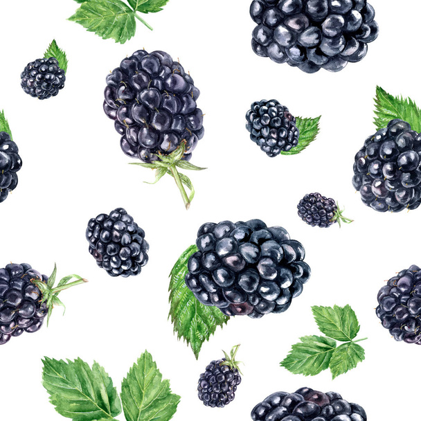 Watercolor hand drawn blackberry isolated seamless pattern. - Photo, Image