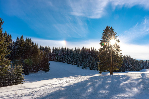 Winter landscape in Thuringia Oberhof - Photo, Image