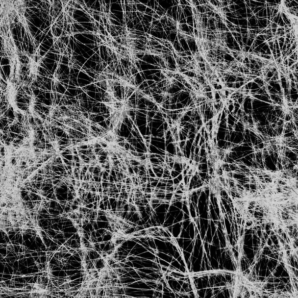 Cobweb de linha branca em um fundo preto
 - Foto, Imagem