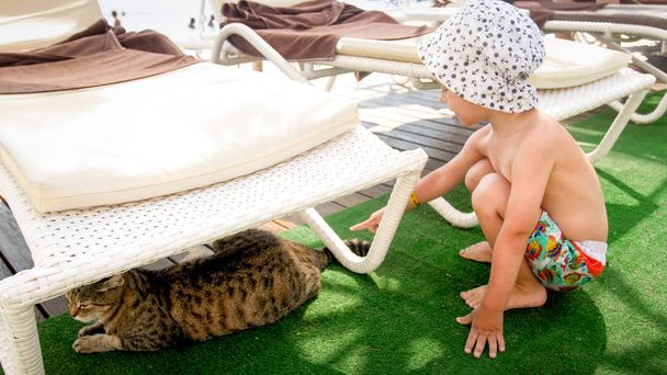 Söpö hymyilevä pikkupoika istuu rannalla ja katselee kissaa, joka makaa solariumin alla.
 - Valokuva, kuva