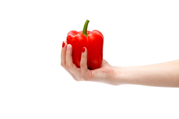 fresh red pepper. Hand holding red pepper isolated on white - Photo, image