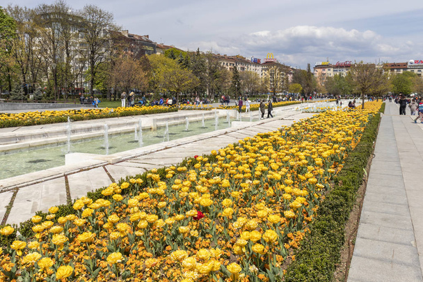 SOFIA, BULGARIA -APRIL 21, 2019: Spring view of flower garden in front of National Palace of Culture, Bulgaria - Φωτογραφία, εικόνα