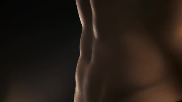 Close up of muscular male torso. - Footage, Video