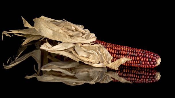 Mély sötétvörös indiai kukorica egy nagy visszaverődő felületen - Fotó, kép