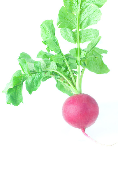 juicy red radish with green leaves isolated on white - Foto, Bild