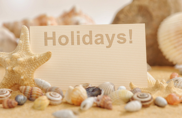 sand on beach and seashells. holiday concept - Foto, Imagen