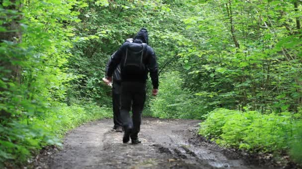 Hikers with map and binoculars on forest trails episode 2 - Video, Çekim