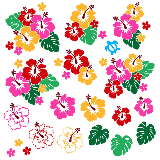 Pretty Hibiscus flower material illustration, - Vector, Image