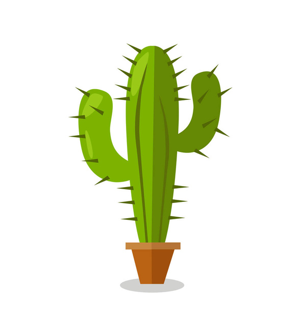 Cactus plant vector illustration - Vektör, Görsel