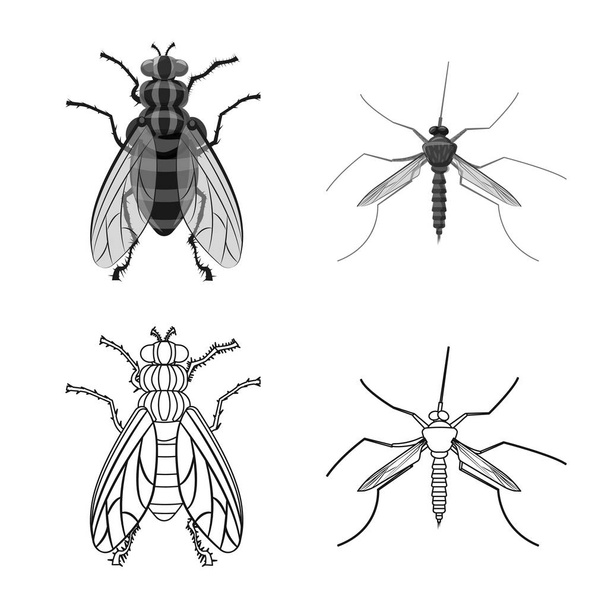 Isolated object of insect and fly icon. Collection of insect and element stock symbol for web. - Vettoriali, immagini