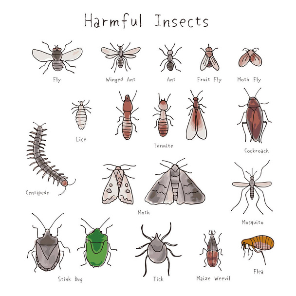 Állítsa be a káros rovarok kézzel drawin akvarell illusztráció - Vektor, kép
