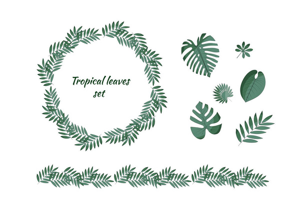 Set of different tropical leaves.  - Vecteur, image