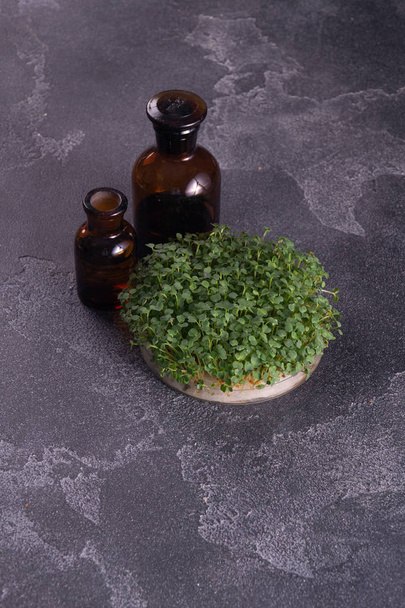 Microgreens in round container and glass vials on dark slate textured surface. Sprouts, microgreens, healthy eating concept. Science, biology. - Foto, Imagem