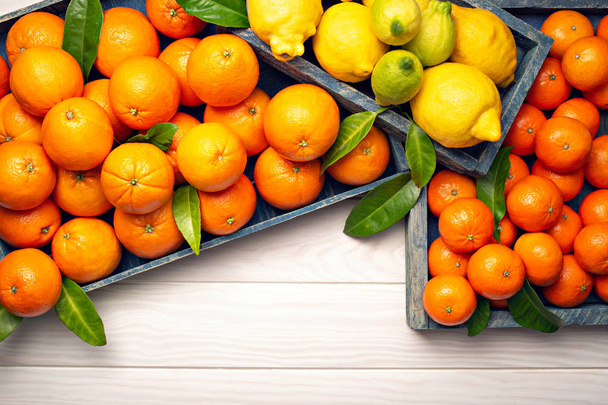 新鮮な柑橘系の果物 - 写真・画像
