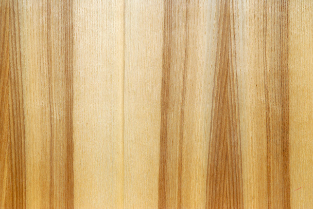 Wood texture - Photo, image