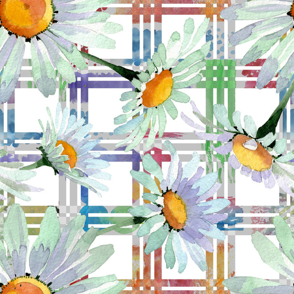 Grandes flores botânicas florais de camomila branca. Conjunto de ilustração de fundo aquarela. Padrão de fundo sem costura
. - Foto, Imagem