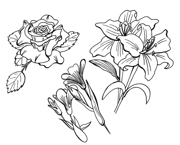 Set of doodle floral elements - Vetor, Imagem