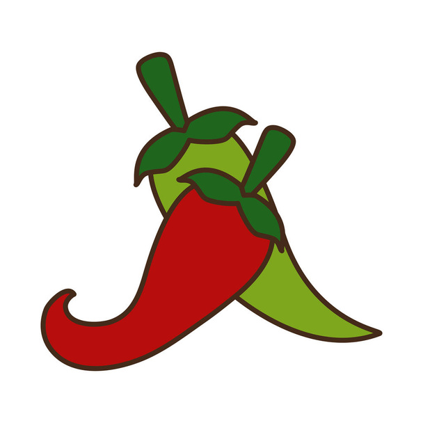 chili pepper jalapeno - Vector, Image