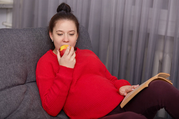 Photo of pregnant woman wears red sweater and maroon leggins, lies on comfortable grey sofa, eating apple, reading book about maternity, having rest, has peaceful facial expression, enjoys rest. - Zdjęcie, obraz