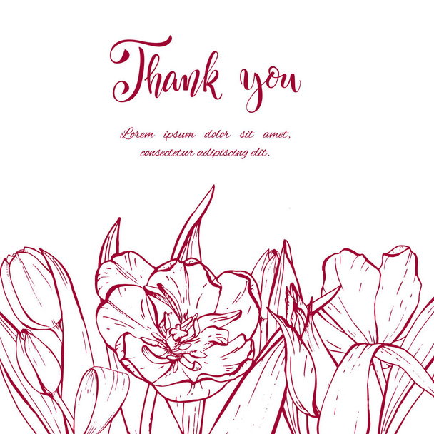 Sketch linear tulips blossom. - Vecteur, image