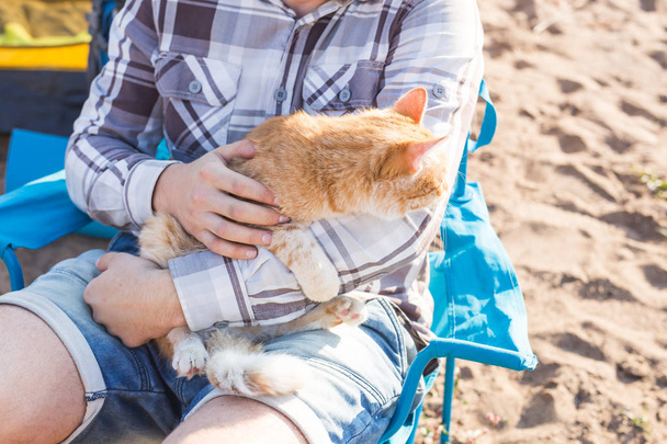 Kişi, turizm ve doğa kavramı - adam holding kedi doğaya yakın çekim - Fotoğraf, Görsel