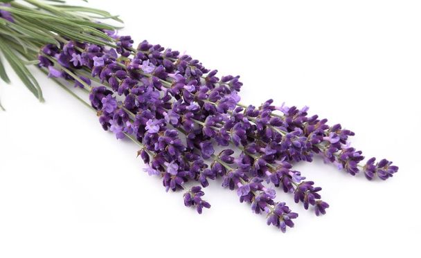 Bouquet of lavender. - Foto, afbeelding