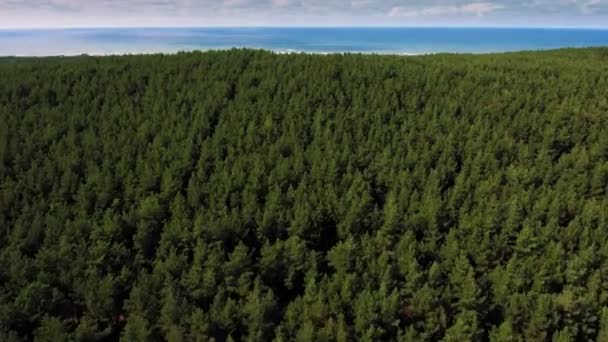 Luftaufnahme. Schneller Flug über einen dichten grünen Wald, im Hintergrund ein blaues Meer mit klarem Wasser - Filmmaterial, Video