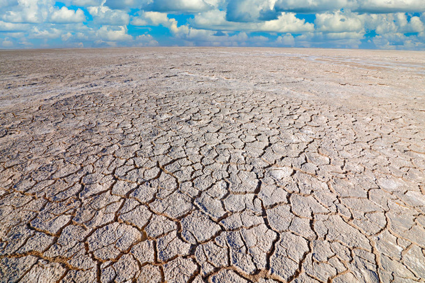 Етоша пан, сухий сезон в Намібії, Африка. Сухий літній пейзаж з блакитним небом і білими хмарами, білим сірим брудним озером. Літо без води. Подорож в гарячій Африці природи. Пустеля в Намібії. - Фото, зображення