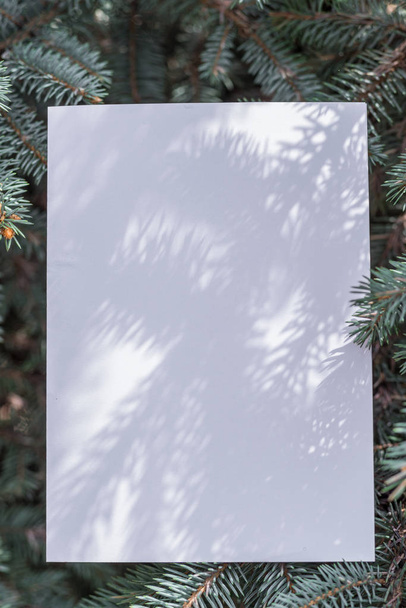 Paper blank between fir branches arranged as a frame. - Foto, Imagen