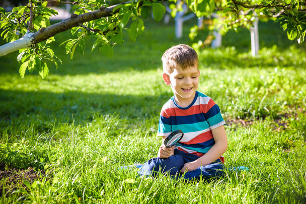 портрет мальчика в саду, рассматривает растения через магн
 - Фото, изображение