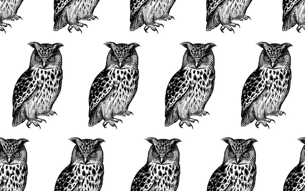 Owls. Seamless pattern with birds. Black and white. - Vetor, Imagem