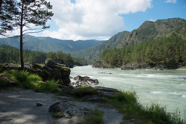 Wildlife Altai. Beautiful Katun river among the mountains in sum - Photo, Image