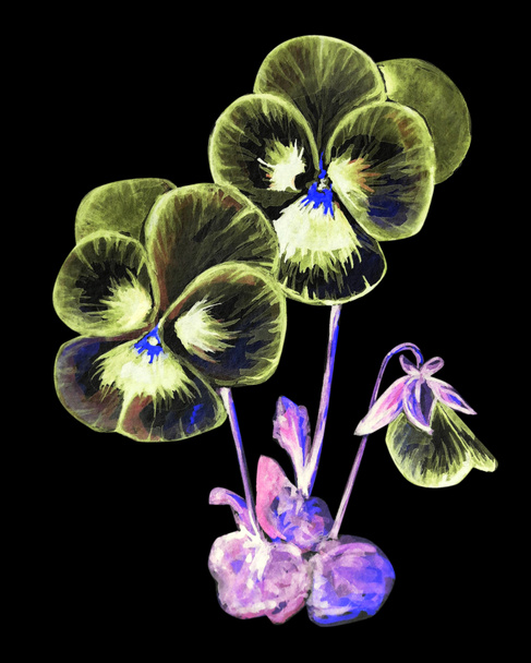 美しい紫色の花の水色イラスト - 写真・画像