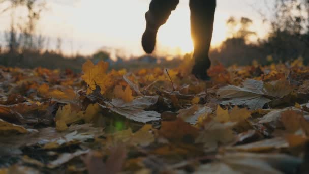 Stopy męskiego sportowca działa w jesiennym parku stepping na suchych opadłych liści. Sportowiec szkolenia w przyrodzie w tle zachodu słońca. Koncepcja zdrowego stylu życia. Niski widok zwolnionym tempie - Materiał filmowy, wideo