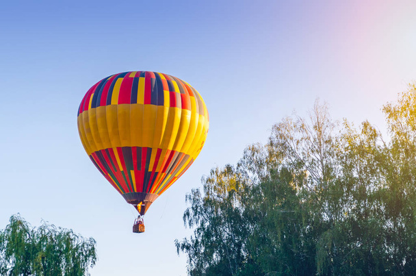Colorful hot air balloon is flying in the blue sky above the trees - Zdjęcie, obraz