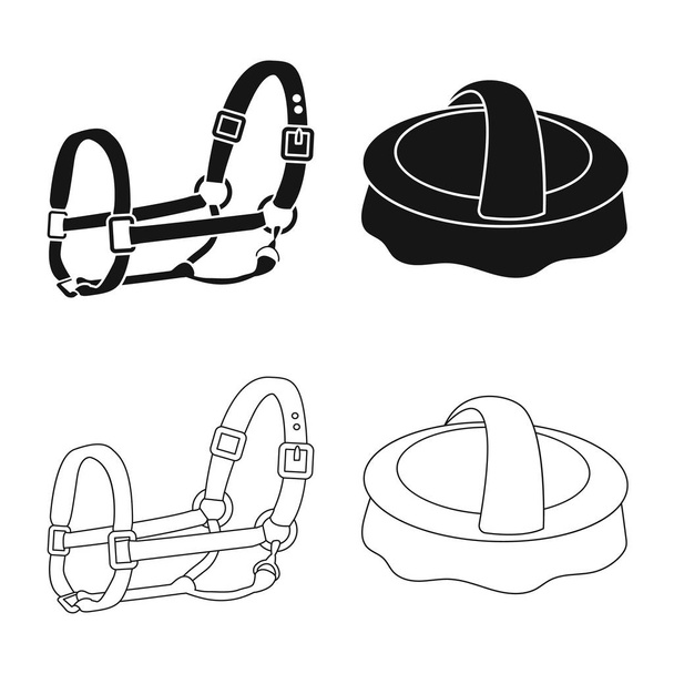 Vector design of equipment and riding sign. Set of equipment and competition vector icon for stock. - Vecteur, image