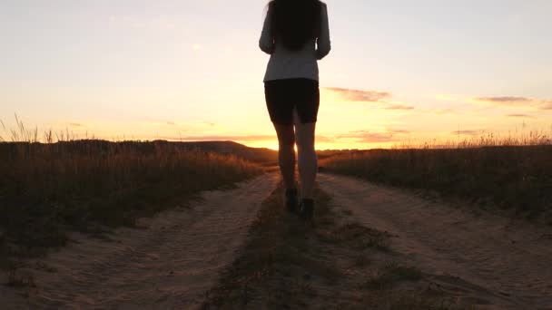 Een zakenvrouw wandelingen langs een landweg met een tablet in haar hand, de miertsaet van de zon tussen womens benen. sexy zakelijke vrouw meisje uitgevoerd op het platteland. sexy meisje reist op het platteland - Video