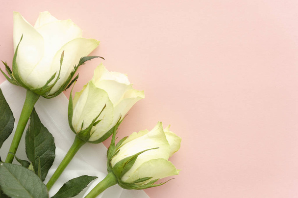 Flat lay three white roses on a pink background. Spring 8 march concept for greeting card background with copy space for text - 写真・画像