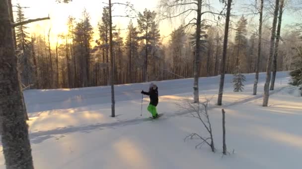 Aerial: aktywna Kobieta w ciepłym zimowym ubraniu rakietach śnieżnych na głębokim śniegu na złotym wschodzie słońca. Happy Girl rakietach śnieżnych wędrówki w snowy lesie na zimowy zachód słońca. Młoda kobieta samotnie wykonując w zimowych Laponii - Materiał filmowy, wideo