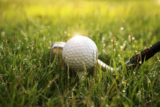 Bola de golfe e clube de golfe em belo campo de golfe ao pôr do sol backg
 - Foto, Imagem