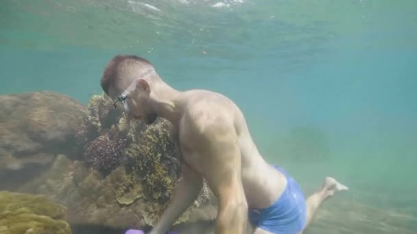 Мужчина тренируется с гантелями под водой, делая упражнения для рук у коралловых рифов с рыбами
. - Кадры, видео
