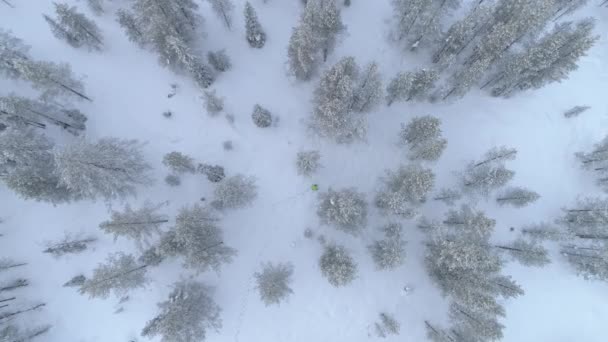АЭРИАЛ, CLOSE UP: Пролетая над неузнаваемым человеком, заблудившимся в снежной зимней дикости, ползает по глубокому свежему снегу. Уставший человек, пробирающийся сквозь снежное одеяло в горном лесу в суровую зиму
 - Кадры, видео