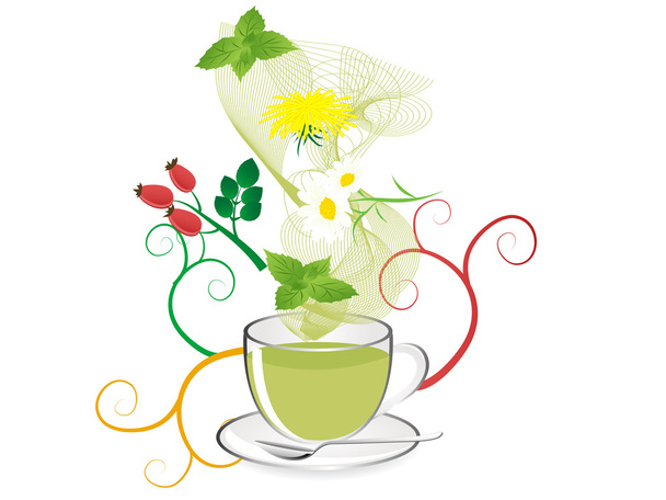 Herbal tea - Wektor, obraz
