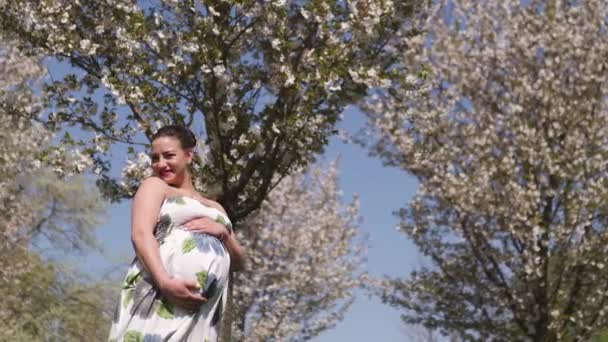 Ευτυχισμένος νέος σύντομα να είναι μητέρα μαμά-νέος ταξιδιώτης έγκυος γυναίκα απολαμβάνει τον ελεύθερο χρόνο της σε ένα πάρκο με άνθισμα Sakura κερασιές φορώντας ένα καλοκαιρινό φως μακρύ φόρεμα με μοτίβο λουλουδιών - Πλάνα, βίντεο