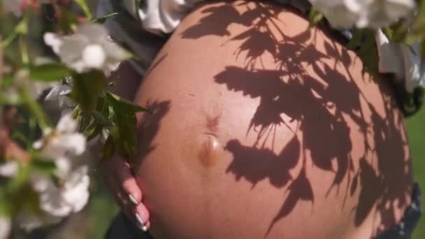 Close up shot of a last month belly - Young traveler pregnant woman enjoys her leisure free time in a park with blossoming sakura cherry trees petting her soon to be born baby with a hand - Footage, Video