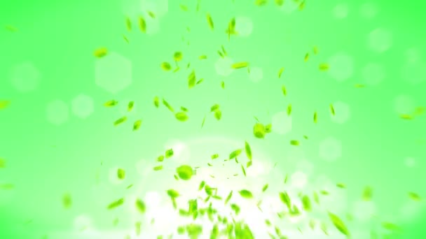 緑の背景に落ちる新鮮な緑の葉。Cgリーフ紙吹雪。ループ アニメーション. - 映像、動画