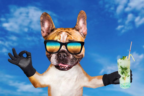 смішний собачий імбирний французький бульдог в сонцезахисних окулярах тримає алкогольний коктейль у склянці в барі і показує знак близько. Тварина на фоні блакитного неба
 - Фото, зображення