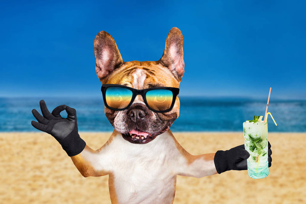 hauska koira inkivääri ranskalainen bulldog aurinkolaseissa pidä alkoholisti cocktail lasi baarissa ja näytä merkki n. Eläin rannalla, merellä ja taivaalla tausta
 - Valokuva, kuva