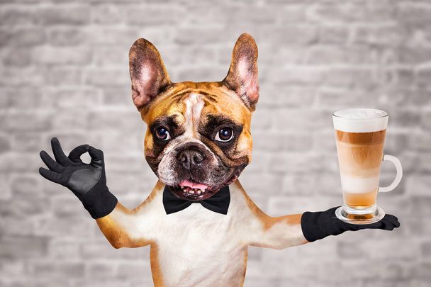 funny dog ginger french bulldog waiter in a black bow tie hold a glass coffee mug and show a sign approx. Animal on brick wall background - Foto, afbeelding
